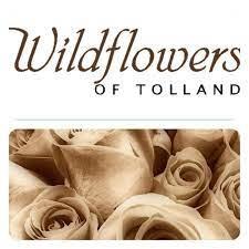 Celebrate Tolland 2022 Sponsor