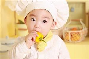 Baby eating yellow pepper in chef hat